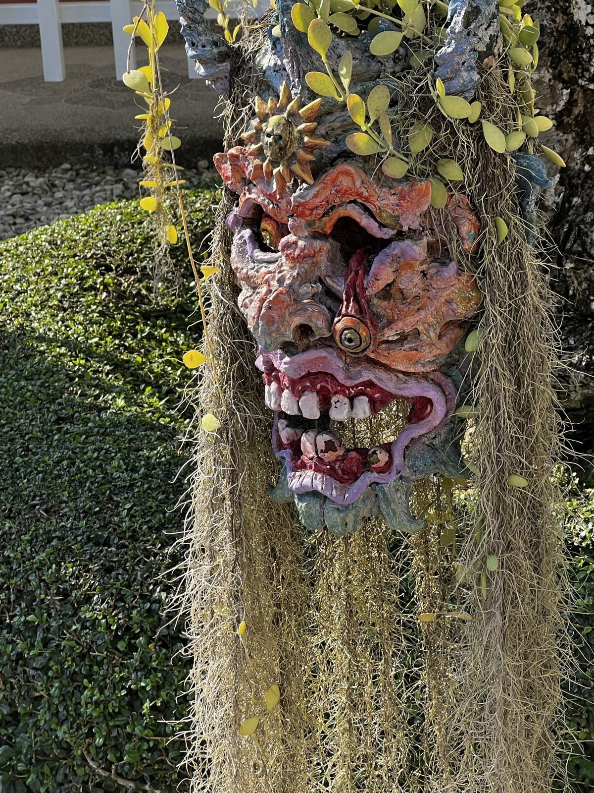 A demon face hung with Spanish moss.