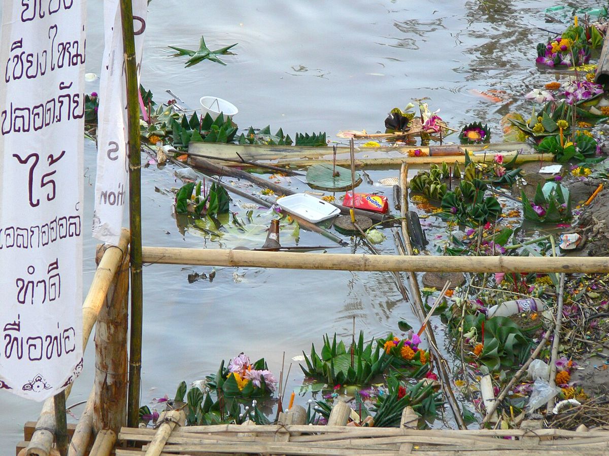 The morning after: spent krathongs caught against bamboo rafts on the Ping, 2006.
