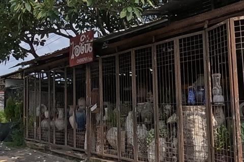 Glazed jars and urns at a pottery yard