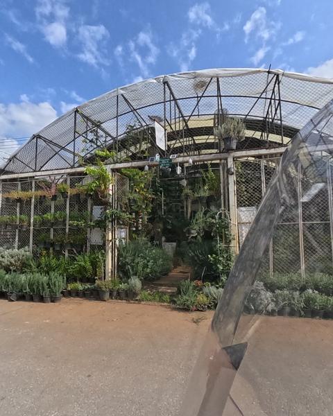 Arched greenhouse, hanging plants