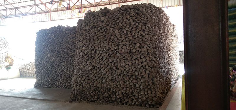 Blocks of fossil oyster shell at Wat Chedi Hoi