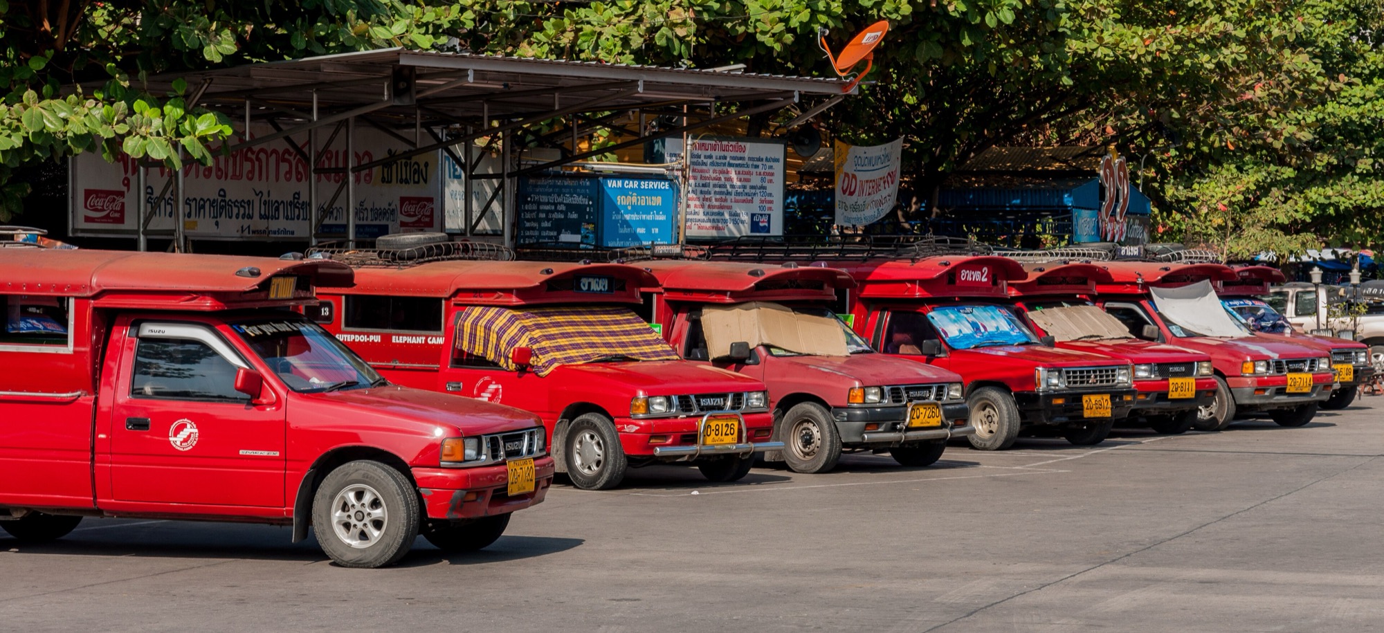 Red songthaews lined up under the trees at the Arcade bus terminal, Chiang Mai