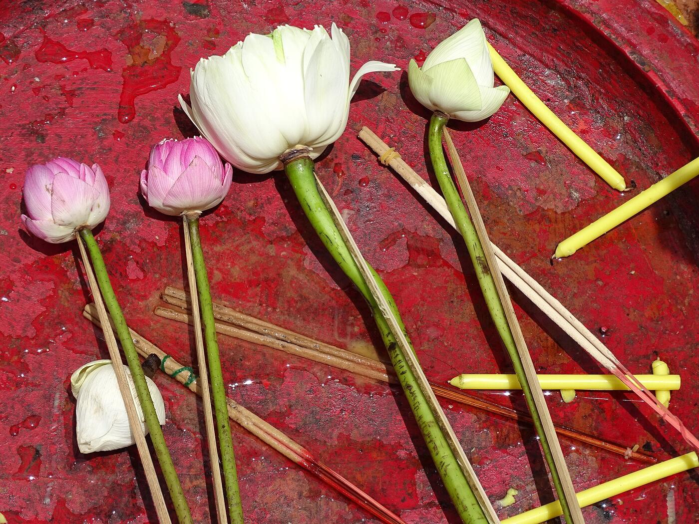 White and pink lotus buds, thin yellow candles and incense sticks lie together on a red surface, the usual worshipper's offering.