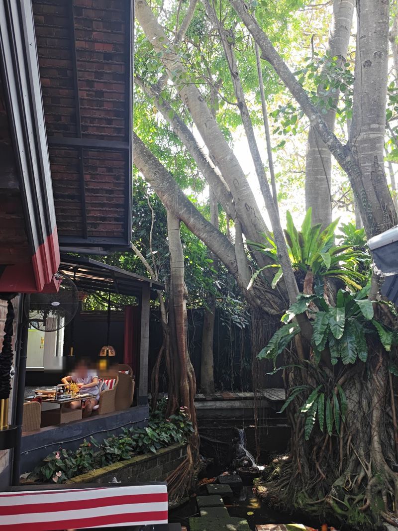 Diners at a terrace table beside a banyan, a striped awning in front