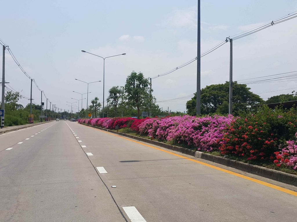 ภาพถนนตรงที่ ท่าศาลาโลหะการ ตั้งอยู่ ถ่ายโดย jrcarlsen พ.ศ. 2558 (2015) · A street-level view of where ท่าศาลาโลหะการ · Tha Sala Loha Kan stands, by jrcarlsen in 2558 (2015)