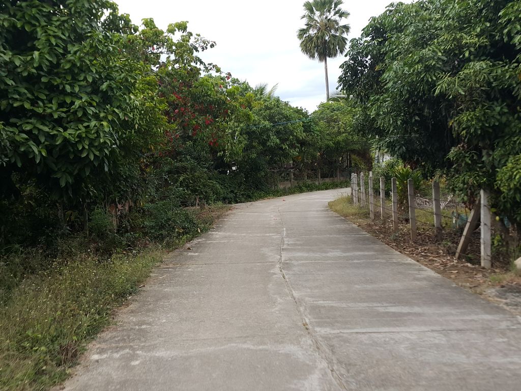 ภาพถนนตรงที่ Bicycle repair and maintenance ตั้งอยู่ ถ่ายโดย jrcarlsen พ.ศ. 2558 (2015) · A street-level view of where Bicycle repair and maintenance stands, by jrcarlsen in 2558 (2015)