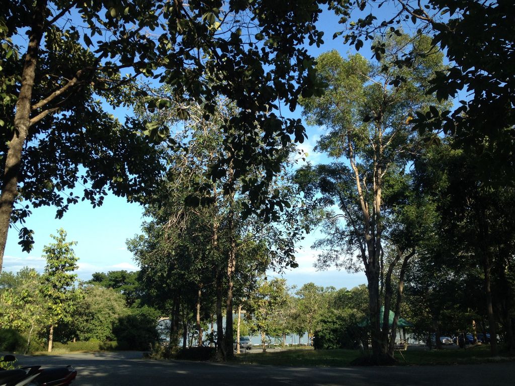 ภาพถนนตรงที่ ที่จอดรถ · ย่านแม่ริม ตั้งอยู่ ถ่ายโดย jimwatana พ.ศ. 2558 (2015) · A street-level view of where Parking · Mae Rim stands, by jimwatana in 2558 (2015)