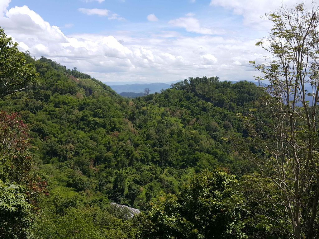 ภาพถนนตรงที่ Viewpoint of Samoeng forest ตั้งอยู่ ถ่ายโดย jrcarlsen พ.ศ. 2558 (2015) · A street-level view of where Viewpoint of Samoeng forest stands, by jrcarlsen in 2558 (2015)
