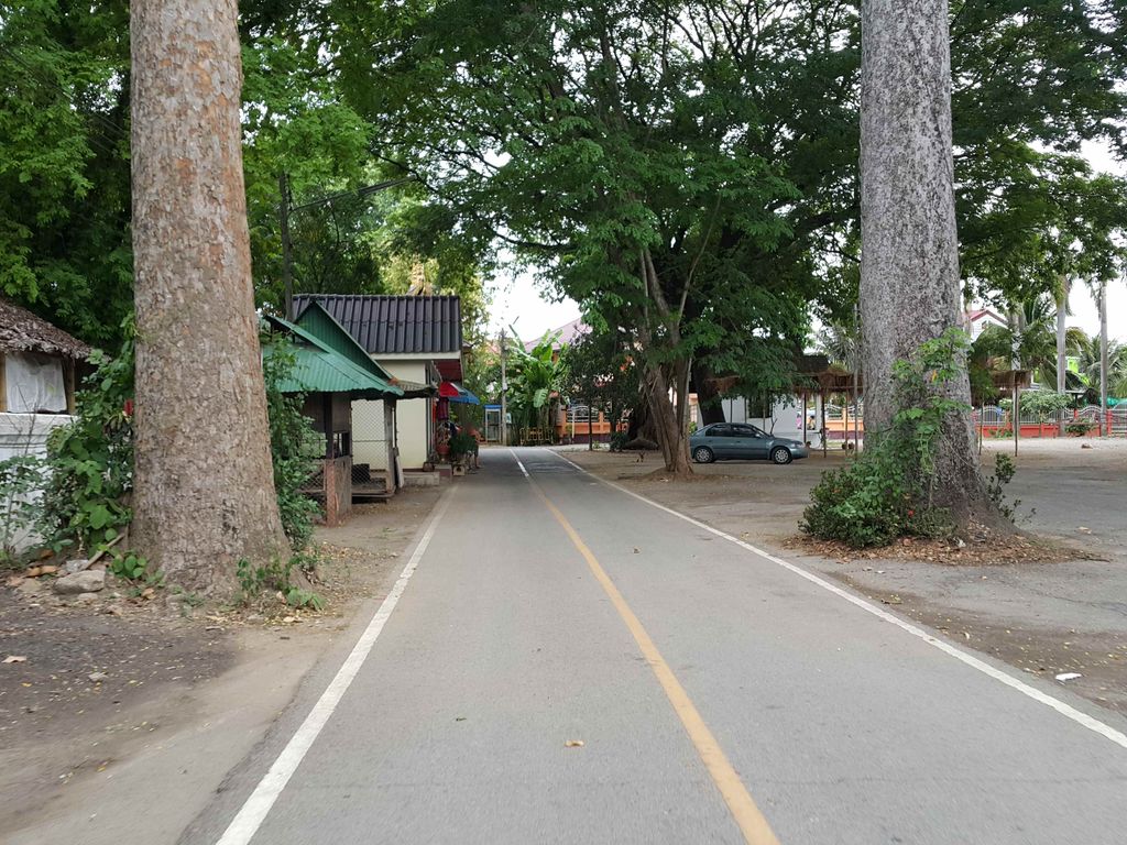 ภาพถนนตรงที่ ที่จอดรถ · ห่างประตูท่าแพ 4.5 กม. ทางใต้ ตั้งอยู่ ถ่ายโดย jrcarlsen พ.ศ. 2558 (2015) · A street-level view of where Parking · 4.5 km south of Tha Phae Gate stands, by jrcarlsen in 2558 (2015)