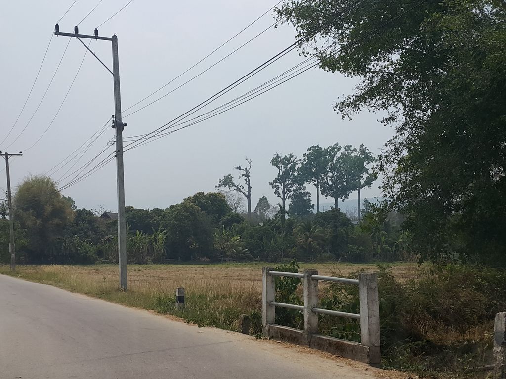 ภาพถนนตรงที่ สุสานบ้านสันป่ายาง ตั้งอยู่ ถ่ายโดย jrcarlsen พ.ศ. 2559 (2016) · A street-level view of where Ban San Pa Yang cemetry stands, by jrcarlsen in 2559 (2016)