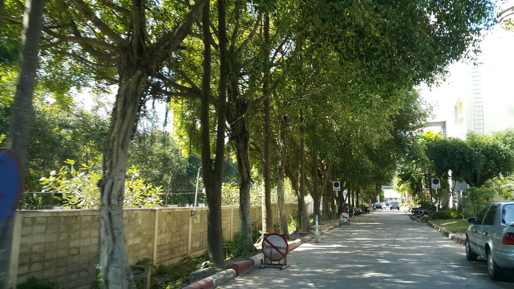 ภาพถนนตรงที่ ที่จอดรถ · ย่านแม่ริม ตั้งอยู่ ถ่ายโดย jrcarlsen พ.ศ. 2559 (2016) · A street-level view of where Parking · Mae Rim stands, by jrcarlsen in 2559 (2016)