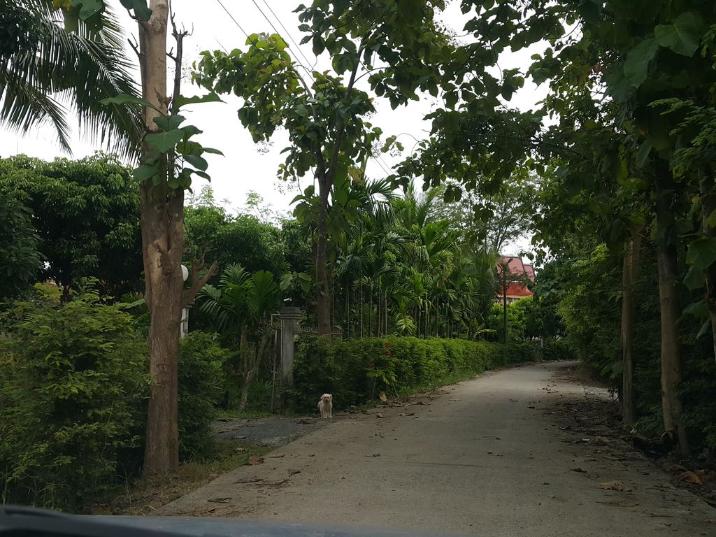 ภาพถนนตรงที่ ที่จอดรถ · ย่านดอยสะเก็ด ตั้งอยู่ ถ่ายโดย jrcarlsen พ.ศ. 2558 (2015) · A street-level view of where Parking · Doi Saket stands, by jrcarlsen in 2558 (2015)