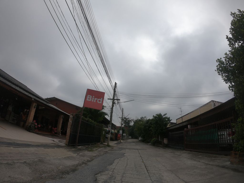 ภาพถนนตรงที่ Bird ตั้งอยู่ ถ่ายโดย chanuwath_grab พ.ศ. 2562 (2019) · A street-level view of where Bird stands, by chanuwath_grab in 2562 (2019)