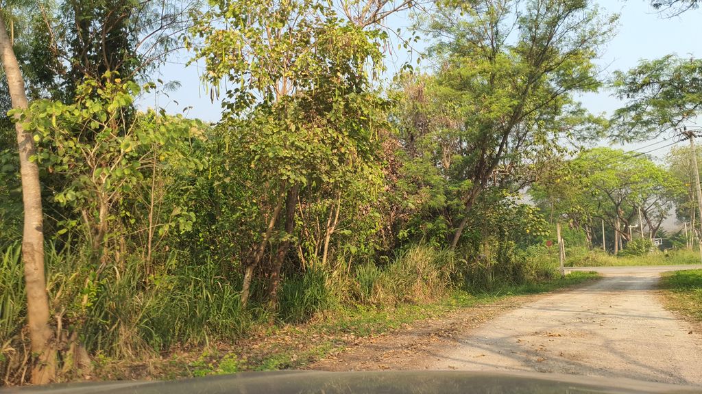 ภาพถนนตรงที่ ที่จอดรถ · ห่างประตูท่าแพ 6.3 กม. ทางตะวันตกเฉียงใต้ ตั้งอยู่ ถ่ายโดย jrcarlsen พ.ศ. 2565 (2022) · A street-level view of where Parking · 6.3 km south-west of Tha Phae Gate stands, by jrcarlsen in 2565 (2022)