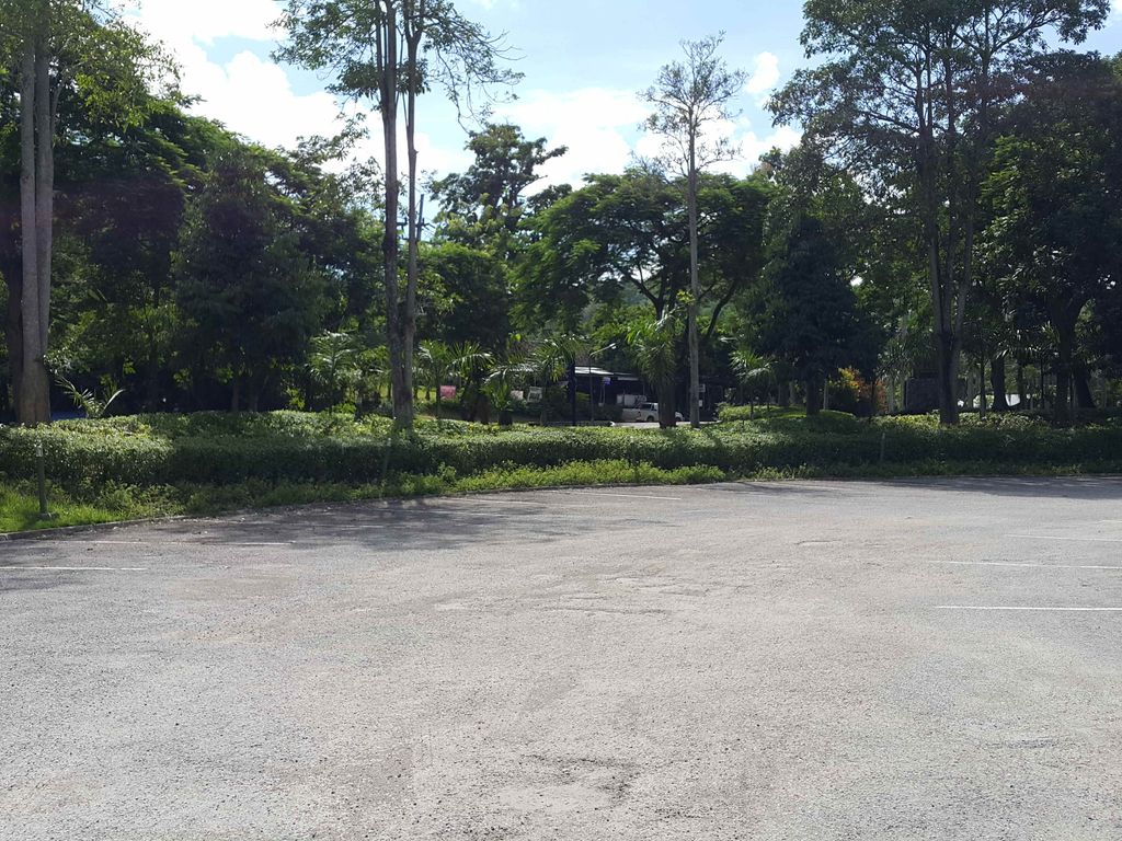 ภาพถนนตรงที่ ที่จอดรถ · ย่านแม่ริม ตั้งอยู่ ถ่ายโดย jrcarlsen พ.ศ. 2558 (2015) · A street-level view of where Parking · Mae Rim stands, by jrcarlsen in 2558 (2015)