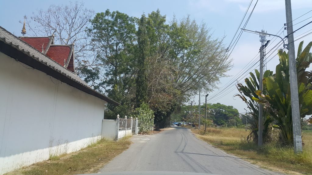 ภาพถนนตรงที่ วัดน้ำแพร่ ตั้งอยู่ ถ่ายโดย jrcarlsen พ.ศ. 2560 (2017) · A street-level view of where วัดน้ำแพร่ · Wat Nam Phrae stands, by jrcarlsen in 2560 (2017)