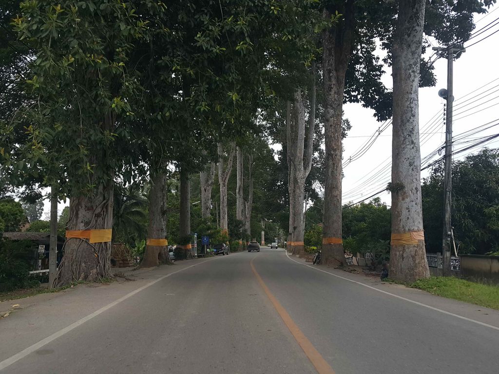 ภาพถนนตรงที่ ทรัพย์เจริญการช่าง ตั้งอยู่ ถ่ายโดย jrcarlsen พ.ศ. 2558 (2015) · A street-level view of where ทรัพย์เจริญการช่าง · Sapcherin Kanchang stands, by jrcarlsen in 2558 (2015)