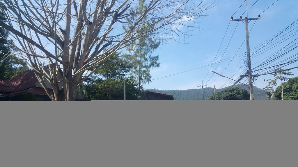 ภาพถนนตรงที่ วัดอุโบสถกลาง สะเมิง ตั้งอยู่ ถ่ายโดย jrcarlsen พ.ศ. 2562 (2019) · A street-level view of where วัดอุโบสถกลาง สะเมิง · Wat Ubosot Klang Samoeng stands, by jrcarlsen in 2562 (2019)
