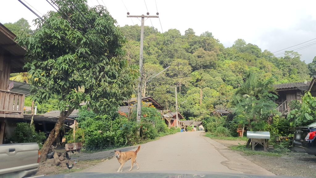 ภาพถนนตรงที่ บ้านธามธาร Tham Than Home ตั้งอยู่ ถ่ายโดย jrcarlsen พ.ศ. 2564 (2021) · A street-level view of where บ้านธามธาร Tham Than Home stands, by jrcarlsen in 2564 (2021)