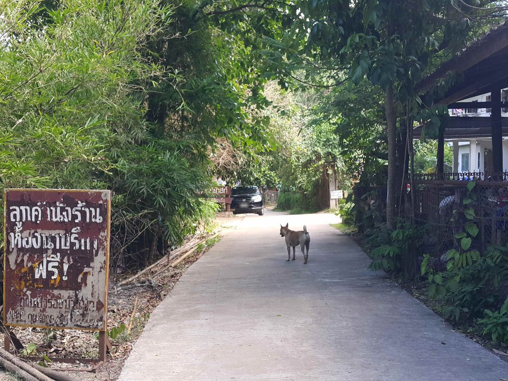 ภาพถนนตรงที่ อินทนนท์เกสท์ ตั้งอยู่ ถ่ายโดย jrcarlsen พ.ศ. 2558 (2015) · A street-level view of where อินทนนท์เกสท์ · Inthanon Ket stands, by jrcarlsen in 2558 (2015)