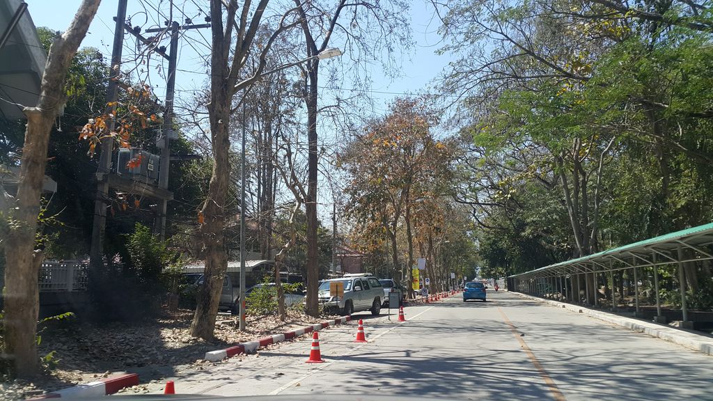 ภาพถนนตรงที่ Maejo Language Center ตั้งอยู่ ถ่ายโดย jrcarlsen พ.ศ. 2560 (2017) · A street-level view of where Maejo Language Center stands, by jrcarlsen in 2560 (2017)
