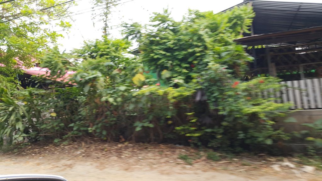 ภาพถนนตรงที่ ลาบขมปี้น้อง ตั้งอยู่ ถ่ายโดย jrcarlsen พ.ศ. 2560 (2017) · A street-level view of where ลาบขมปี้น้อง · Lapkhompinong stands, by jrcarlsen in 2560 (2017)