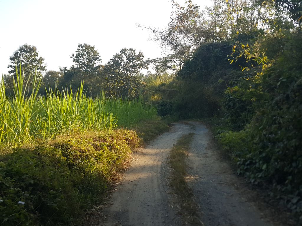ภาพถนนตรงที่ MMM Farm ตั้งอยู่ ถ่ายโดย jrcarlsen พ.ศ. 2558 (2015) · A street-level view of where MMM Farm stands, by jrcarlsen in 2558 (2015)