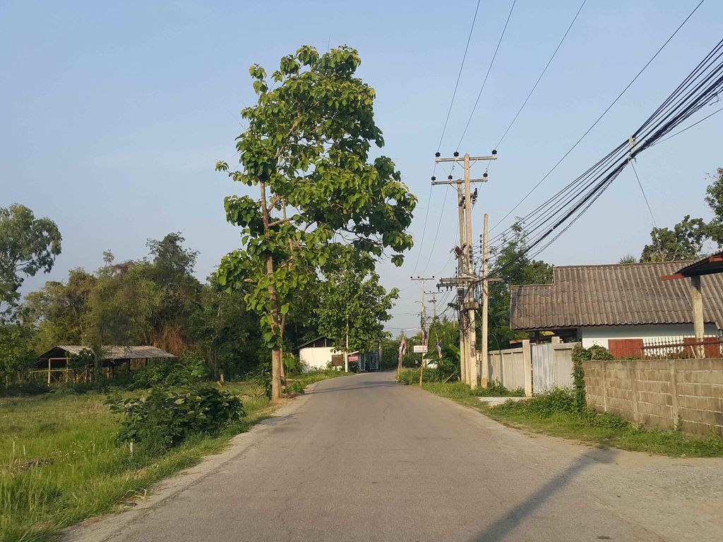 ภาพถนนตรงที่ ที่ทำการผู้ใหญ่บ้าน หมู่ที่ 3 ตำบลสำราญราษฎร์ ตั้งอยู่ ถ่ายโดย jrcarlsen พ.ศ. 2558 (2015) · A street-level view of where ที่ทำการผู้ใหญ่บ้าน หมู่ที่ 3 ตำบลสำราญราษฎร์ · Thi Tham Kan Phuyaiban Muthi 3 Tambon Samranratda stands, by jrcarlsen in 2558 (2015)
