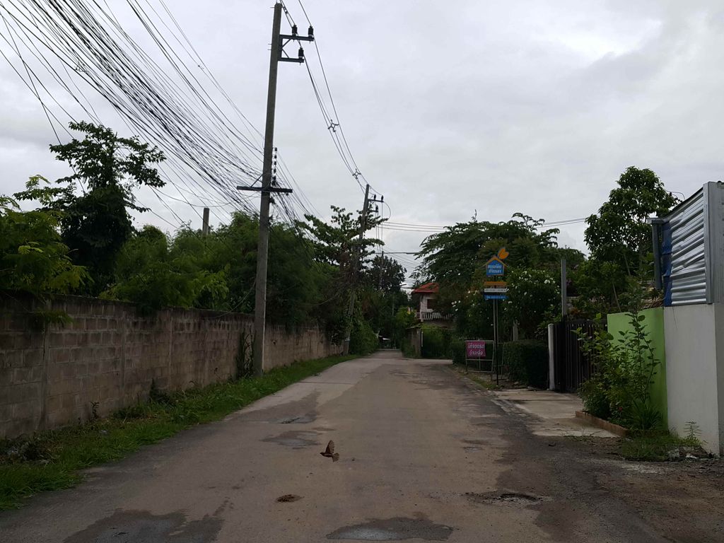 ภาพถนนตรงที่ Tree house supalai park vile CM ตั้งอยู่ ถ่ายโดย jrcarlsen พ.ศ. 2558 (2015) · A street-level view of where Tree house supalai park vile CM stands, by jrcarlsen in 2558 (2015)