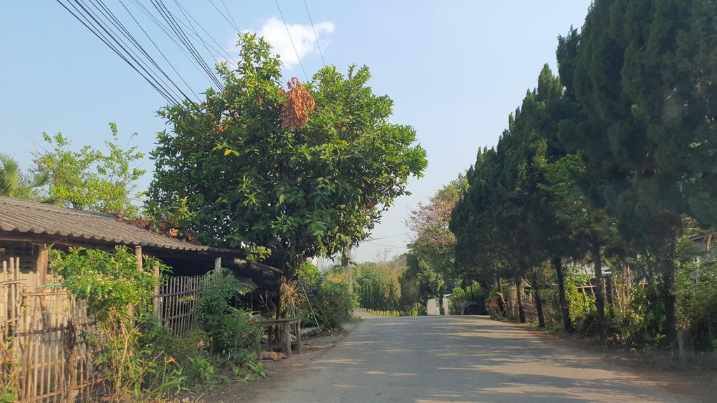 ภาพถนนตรงที่ Baimai Garden-ใบไม้การ์เด้นท์ ตั้งอยู่ ถ่ายโดย jrcarlsen พ.ศ. 2565 (2022) · A street-level view of where Baimai Garden-ใบไม้การ์เด้นท์ stands, by jrcarlsen in 2565 (2022)