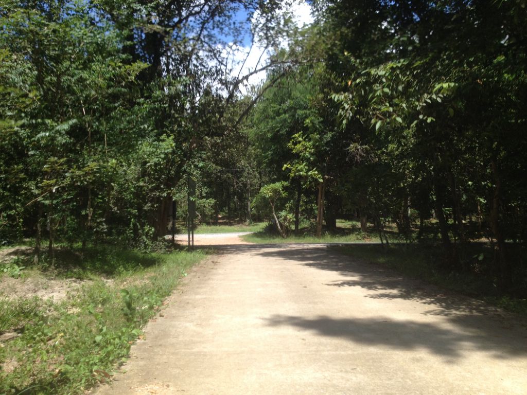 ภาพถนนตรงที่ Foresta Villa ตั้งอยู่ ถ่ายโดย jimwatana พ.ศ. 2558 (2015) · A street-level view of where Foresta Villa stands, by jimwatana in 2558 (2015)