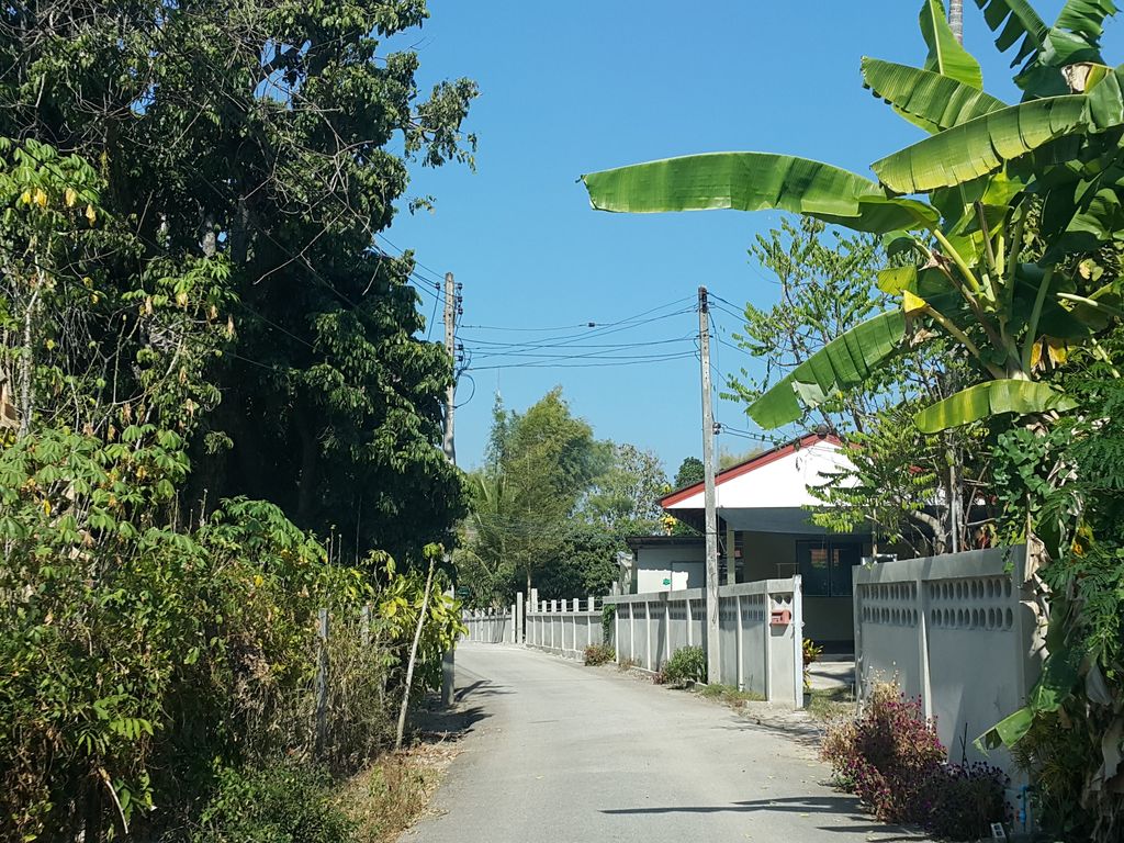 ภาพถนนตรงที่ Serene Senior Care Chiangmai ตั้งอยู่ ถ่ายโดย jrcarlsen พ.ศ. 2558 (2015) · A street-level view of where Serene Senior Care Chiangmai stands, by jrcarlsen in 2558 (2015)