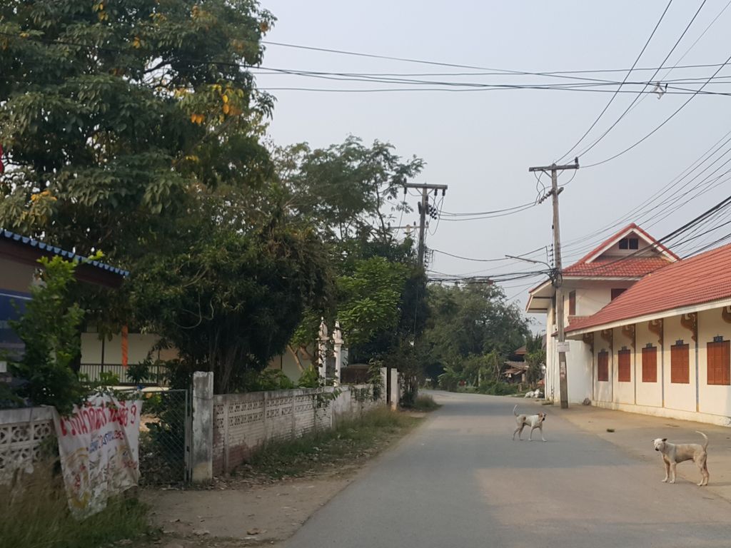 ภาพถนนตรงที่ สถานีอนามัยบ้านสันต้นแหน ตั้งอยู่ ถ่ายโดย jrcarlsen พ.ศ. 2559 (2016) · A street-level view of where สถานีอนามัยบ้านสันต้นแหน · Ban San Ton Nae Health station stands, by jrcarlsen in 2559 (2016)