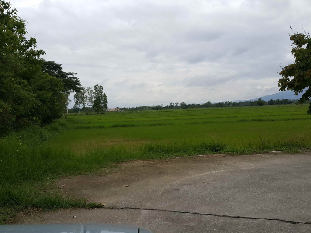 ภาพถนนตรงที่ ก๋วยจั๊บริมทุ่ง ตั้งอยู่ ถ่ายโดย jrcarlsen พ.ศ. 2558 (2015) · A street-level view of where ก๋วยจั๊บริมทุ่ง · Kuaichap Rimthung stands, by jrcarlsen in 2558 (2015)