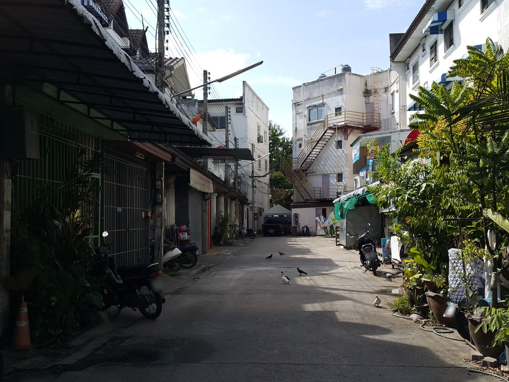 ภาพถนนตรงที่ ร้านเชียงใหม่คอสเมติก ตั้งอยู่ ถ่ายโดย jrcarlsen พ.ศ. 2558 (2015) · A street-level view of where ร้านเชียงใหม่คอสเมติก · Ran Chiang Mai Cosmetic stands, by jrcarlsen in 2558 (2015)