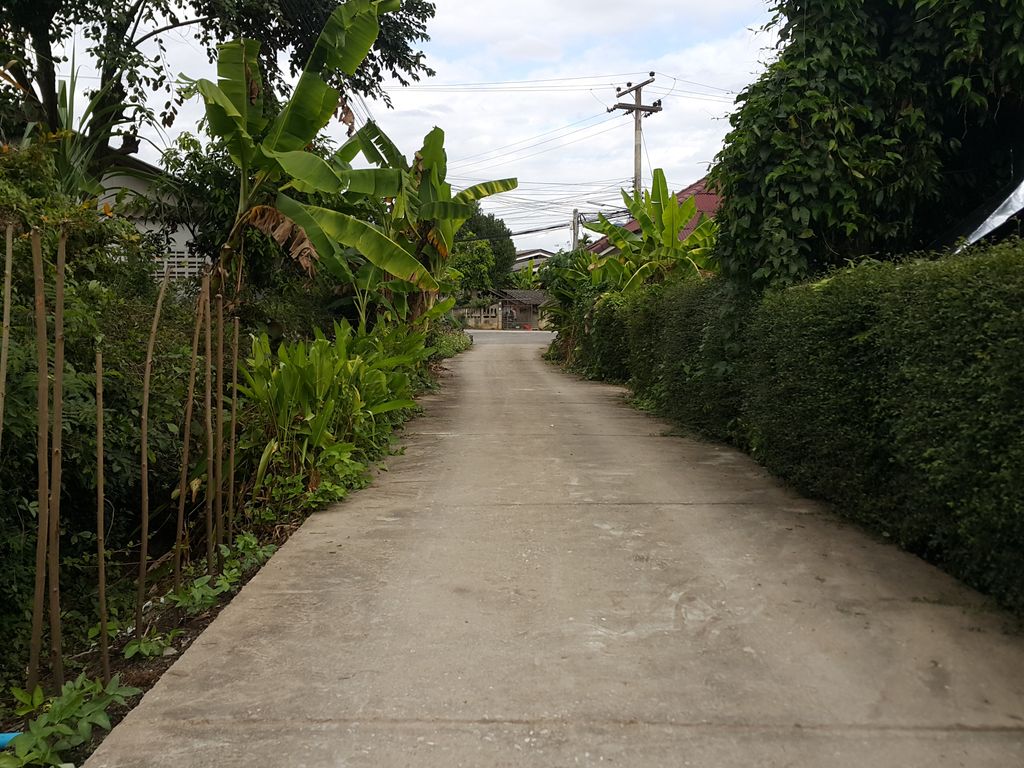 ภาพถนนตรงที่ ครัวริมคลอง ฮาลาล ฟู๊ดส์ ดอยสะเก็ด ตั้งอยู่ ถ่ายโดย jrcarlsen พ.ศ. 2558 (2015) · A street-level view of where ครัวริมคลอง ฮาลาล ฟู๊ดส์ ดอยสะเก็ด · Khruarimkhalong Halal Fut Doi Saket stands, by jrcarlsen in 2558 (2015)