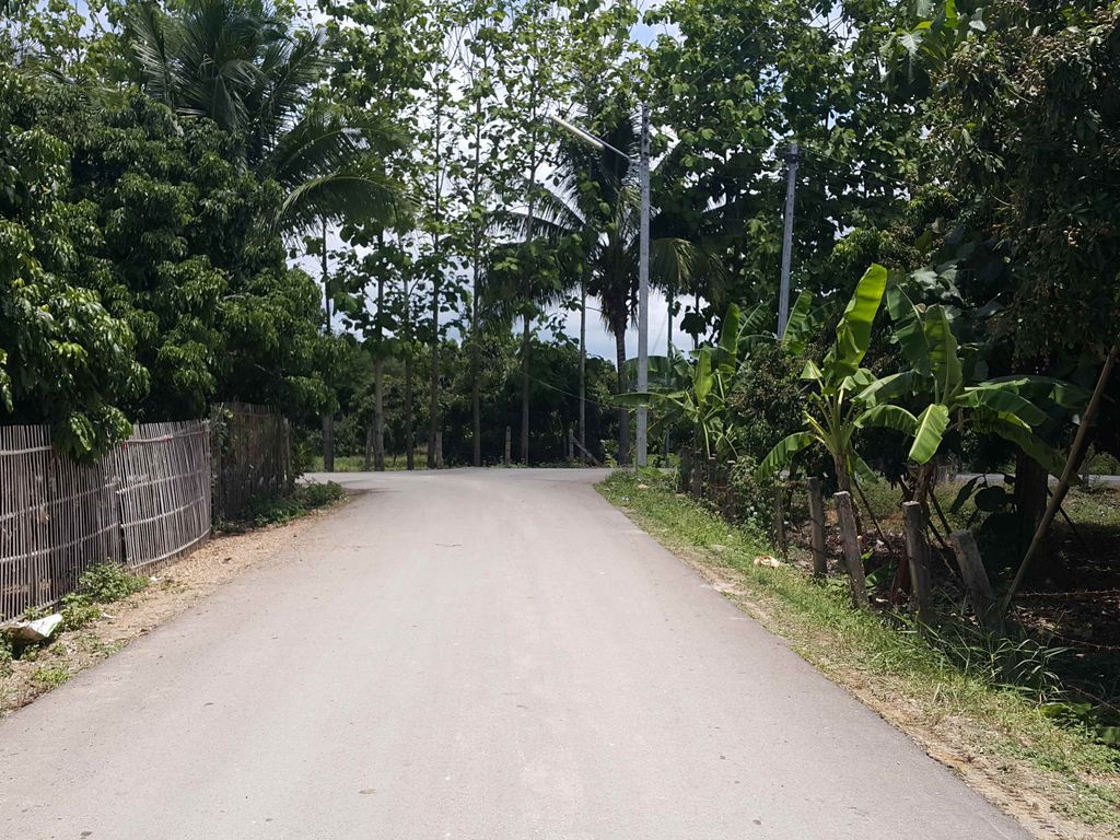 ภาพถนนตรงที่ The Elephant House and Pool Villas ตั้งอยู่ ถ่ายโดย jrcarlsen พ.ศ. 2558 (2015) · A street-level view of where The Elephant House and Pool Villas stands, by jrcarlsen in 2558 (2015)