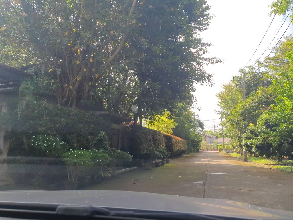 ภาพถนนตรงที่ Mon Lom Dao ม่อนล้อมดาว ตั้งอยู่ ถ่ายโดย jrcarlsen พ.ศ. 2566 (2023) · A street-level view of where Mon Lom Dao ม่อนล้อมดาว stands, by jrcarlsen in 2566 (2023)
