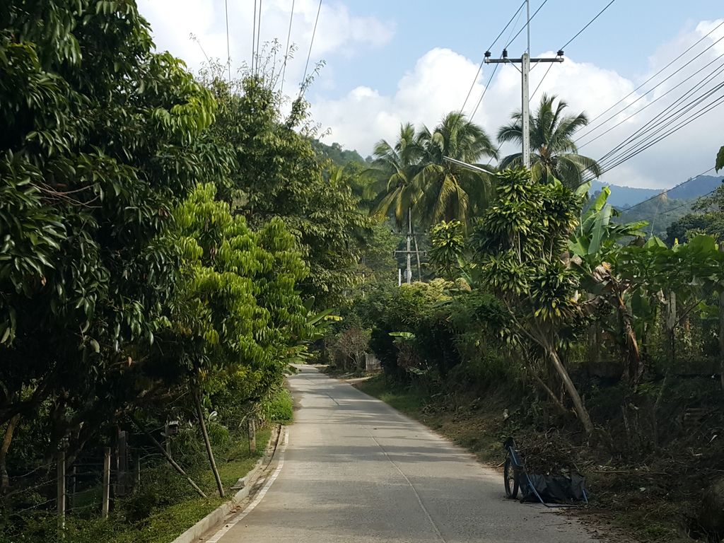 ภาพถนนตรงที่ The Stream House ตั้งอยู่ ถ่ายโดย jrcarlsen พ.ศ. 2558 (2015) · A street-level view of where The Stream House stands, by jrcarlsen in 2558 (2015)