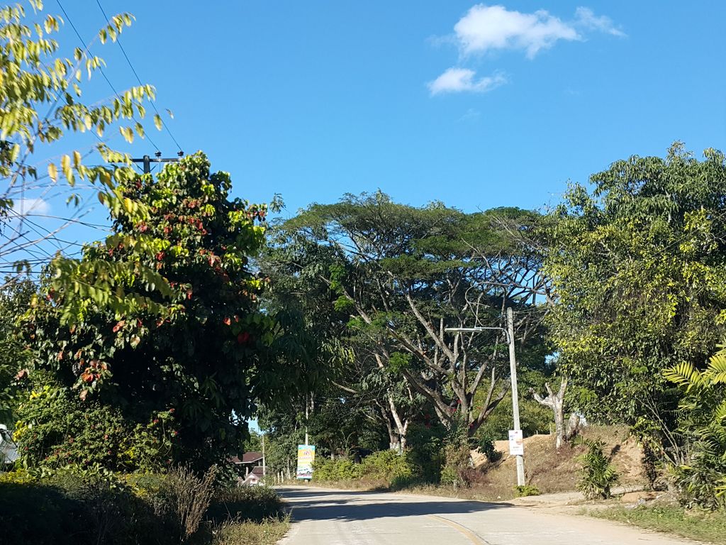 ภาพถนนตรงที่ โรงเรียนบ้านแม่หาด ตั้งอยู่ ถ่ายโดย jrcarlsen พ.ศ. 2558 (2015) · A street-level view of where โรงเรียนบ้านแม่หาด · Ban Mae Hat School stands, by jrcarlsen in 2558 (2015)
