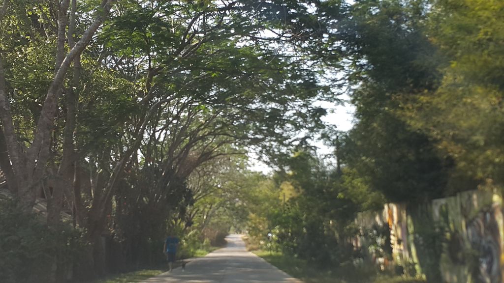 ภาพถนนตรงที่ Elephant Nature Park ตั้งอยู่ ถ่ายโดย jrcarlsen พ.ศ. 2558 (2015) · A street-level view of where Elephant Nature Park stands, by jrcarlsen in 2558 (2015)
