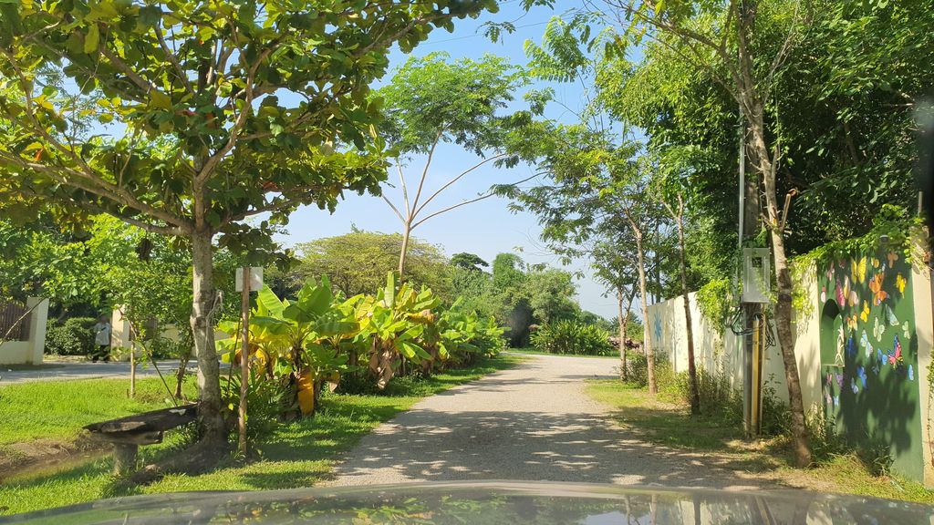 ภาพถนนตรงที่ Din Dee Farm ตั้งอยู่ ถ่ายโดย jrcarlsen พ.ศ. 2565 (2022) · A street-level view of where Din Dee Farm stands, by jrcarlsen in 2565 (2022)