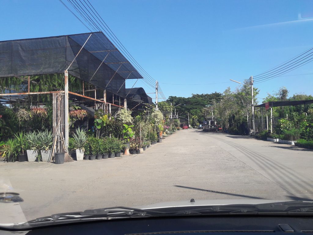 ภาพถนนตรงที่ ตลาดต้นไม้คำเที่ยง Chiangmai ตั้งอยู่ ถ่ายโดย noochjaree พ.ศ. 2561 (2018) · A street-level view of where ตลาดต้นไม้คำเที่ยง Chiangmai stands, by noochjaree in 2561 (2018)