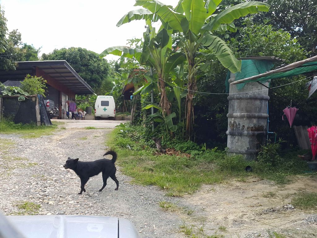 ภาพถนนตรงที่ บ้านสวนจักรพงศ์ - Homestay ตั้งอยู่ ถ่ายโดย jrcarlsen พ.ศ. 2558 (2015) · A street-level view of where บ้านสวนจักรพงศ์ - Homestay stands, by jrcarlsen in 2558 (2015)
