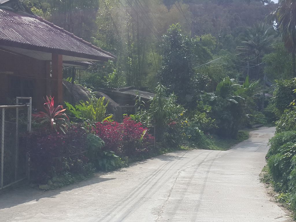 ภาพถนนตรงที่ แม่เกตุ โฮมสเตย์ ตั้งอยู่ ถ่ายโดย jrcarlsen พ.ศ. 2558 (2015) · A street-level view of where แม่เกตุ โฮมสเตย์ · Mae Ketu Homestay stands, by jrcarlsen in 2558 (2015)