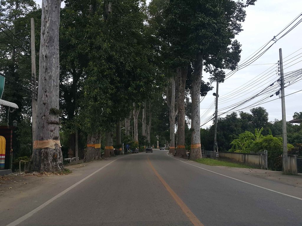 ภาพถนนตรงที่ เฮือนสลุงคำ ตั้งอยู่ ถ่ายโดย jrcarlsen พ.ศ. 2558 (2015) · A street-level view of where เฮือนสลุงคำ · Hueansalungkham stands, by jrcarlsen in 2558 (2015)