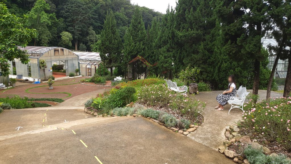 ภาพถนนตรงที่ QSBG Rose Garden ตั้งอยู่ ถ่ายโดย jrcarlsen พ.ศ. 2563 (2020) · A street-level view of where QSBG Rose Garden stands, by jrcarlsen in 2563 (2020)
