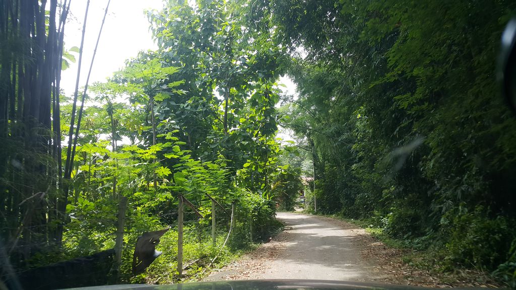 ภาพถนนตรงที่ สถานีวิทยุนครพิงค์ล้านนาเรดิโอ สันกำแพง เชียงใหม่ ตั้งอยู่ ถ่ายโดย jrcarlsen พ.ศ. 2561 (2018) · A street-level view of where สถานีวิทยุนครพิงค์ล้านนาเรดิโอ สันกำแพง เชียงใหม่ · Sathani Wityu Nakhon Ping Lanna Re The O San Kamphaeng Chiang Mai stands, by jrcarlsen in 2561 (2018)
