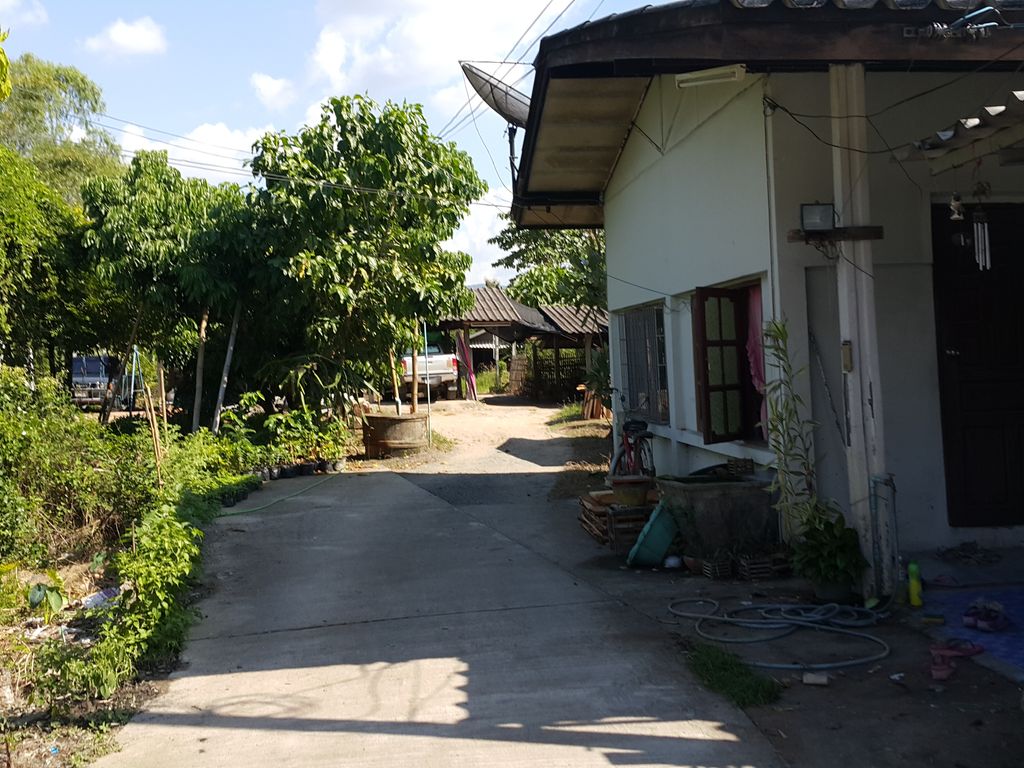 ภาพถนนตรงที่ นลินรดางานไม้ ตั้งอยู่ ถ่ายโดย jrcarlsen พ.ศ. 2557 (2014) · A street-level view of where นลินรดางานไม้ · Nalin Rada Nganmai stands, by jrcarlsen in 2557 (2014)