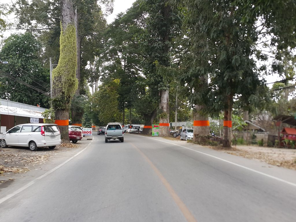 ภาพถนนตรงที่ กศน.ตำบลยางเนิ้ง ตั้งอยู่ ถ่ายโดย jrcarlsen พ.ศ. 2557 (2014) · A street-level view of where กศน.ตำบลยางเนิ้ง · Kason.Tambon Yangnoeng stands, by jrcarlsen in 2557 (2014)